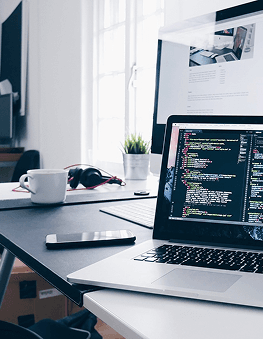 Software Development (DevOps)